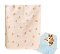 Solesle de PET-URINE-in-Case pour chien performance de formation pour chien lavable Performance réutilisable de chat-urine intal vieux dépôts de chien-urine