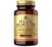 Solgar Acide Folique 250comp