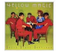 Solid State Survivor – Remasterisé en 2018 – import japonais – Sony Music