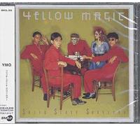 Solid State Survivor - Remasterisé