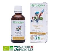 Solidage Verge D'or Bio - Système Urinaire Teinture-Mère Solidago Virgaurea 50 Ml - Herbiolys