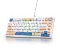 SOLIDEE Clavier Mécanique 75% Filaire, Hot Swappable, Compact RGB, Rétroéclairage, 82 Touches NKRO