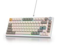 SOLIDEE Clavier Mécanique Filaire 75%, Compact RGB, Rétroéclairage, 82 Touches NKRO avec Bouton (82 Gris Beige)