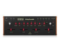 Solina String Ensemble - STOCK B