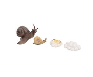 Solinder Modèle de Cycle de Croissance D'insecte pour Le Plaisir éducatif | Construction en plastique durable, favorise l\'appréciation de la nature, modèle animal réaliste, couleurs vives, pièce
