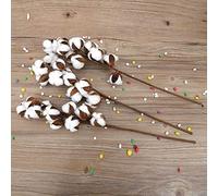 Solinder Tiges de Coton de Fleurs Séchées à la Main, 3 Pièces, 60cm, pour Décoration Mariage et Maison, avec 10 Capsules Coton Doux