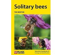 Solitary Bees