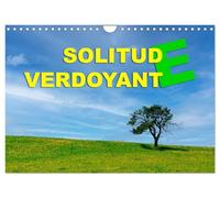 Solitude verdoyante (Calendrier mural 2027 DIN A4 vertical), CALVENDO calendrier mensuel: Arbres seuls dans la campagne en toutes saisons
