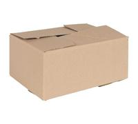 Solivagant Boîte Pliable 50 pcs Naturel 30 x 21,5 x 14 cm Carton,(7.46 KG)