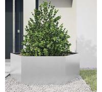 Solivagant Jardinière hexagone 138x120x45 cm Acier galvanisé,(11.62 KG)