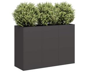 Solivagant Jardinière Noir 120x40x80 cm Acier laminé à Froid,(17.5 KG)