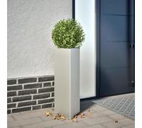 Solivagant Jardinière Triangulaire 30x26x75 cm Acier Inoxydable,(5.04 KG)