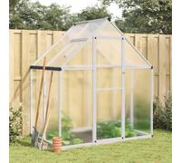 Solivagant Serre avec Cadre de Base Argent 169x114x195 cm Aluminium,(22 KG)