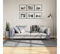 Solivagant Tapis Shaggy Pamplona Poils Longs Moderne Gris 140x200 cm,(4.7 KG)