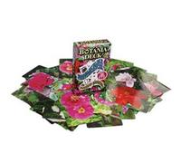SOLOMAGIA Botania Deck - Tours et Magie Magique
