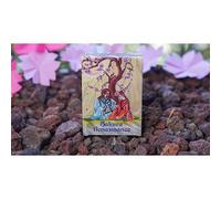 SOLOMAGIA Sakura Renaissance Sunlight Standard Edition Playing Cards