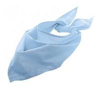 SOLS - Bandana uni - Adulte unisexe (Taille unique) (Blanc) - UTPC2801 Blanc G