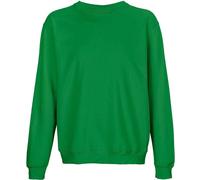 SOLS - Sweat-shirt "Columbia" pour homme/femme unie PC5181 (XS) (Vert irlandais)