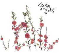 Solsolspringwind - Spring Has Come