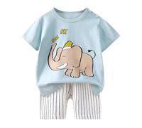 SoLu DAY8 Ensemble Ete Enfant Garcon Age 0-6 ans Tee Shirt Manche Courte Et Short Bébé Garçon Chic Pas Cher Ample Mignon Dessin Animé a la Mode Casual Plage Vacances (Light Blue, 6-12 Months)