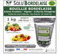 Solu'Bordelaise - 1 kg - Bouillie Bordelaise Non Colorée - Fongicide Polyvalent Sulfate de Cuivre - Protection Arbres Fruitiers, Cultures Potagères, Vignes - Utilisable en Agriculture Biologique