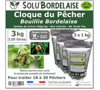 Solu'Bordelaise - Cloque du Pêcher - 3 kg de Bouillie Bordelaise Non Colorée - Fongicide Polyvalent à base de Sulfate de Cuivre 200 g/kg - Doseur Inclus - Utilisable en Agriculture Biologique