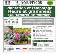 SoluMycor - 1000 Pastilles Biostimulantes Fleurs et graminées - Idéal pour Semis & Plantation - Mycorhizes & Bactéries Azospirillum - Favorise le Développement Racinaire - Fabriqué en France