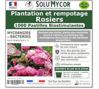 SoluMycor - 1000 Pastilles Biostimulantes Rosiers - Idéal pour Semis & Plantation - Mycorhizes & Bactéries Azospirillum - Favorise le Développement Racinaire - Fabriqué en France