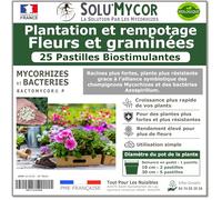 SoluMycor - 25 Pastilles Biostimulantes Fleurs et graminées - Idéal pour Semis & Plantation - Mycorhizes & Bactéries Azospirillum - Favorise le Développement Racinaire - Fabriqué en France