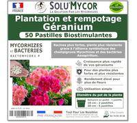 SoluMycor - 50 Pastilles Biostimulantes Géraniums - Idéal pour Semis & Plantation - Mycorhizes & Bactéries Azospirillum - Favorise le Développement Racinaire - Fabriqué en France