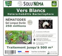SOLUNEMA - 250 millions de Nématodes HB Contre Les Vers Blancs - Formulation professionnelle Longue Durée
