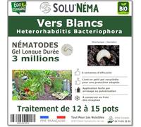 SOLUNEMA - 3 millions de Nématodes HB Contre Les Vers Blancs - Formulation gel longue durée pour traiter de 12 à 15 pots ou jusqu'à 3 m²- Traitement biologique anti larve d'Hanneton et d'Otiorhynque