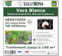 SOLUNEMA - 50 millions de Nématodes HB Contre Les Vers Blancs - Formulation gel longue durée pour traiter jusqu'à 100 m²- Traitement biologique efficace contre la larve de hanneton et d'otiorhynque