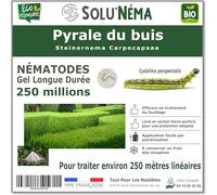 SOLUNEMA - Nématodes contre la pyrale du buis - 250 Millions Longue Durée