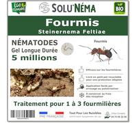 SOLUNEMA - Nématodes Contre Les Fourmis 5 Millions Longue Durée