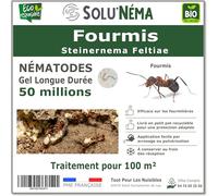SOLUNEMA - Nématodes Contre Les Fourmis 50M Longue Durée
