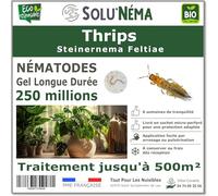 SOLUNEMA - Nématodes Contre les Thrips 250 Millions Longue Durée