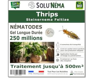 SOLUNEMA - Nématodes Contre les Thrips 250 Millions Longue Durée