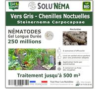SOLUNEMA - Nématodes contre les vers gris - chenilles noctuelles - 250 Millions Longue Durée