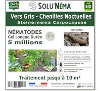 SOLUNEMA - Nématodes contre les vers gris - chenilles noctuelles - 5 Millions Longue Durée
