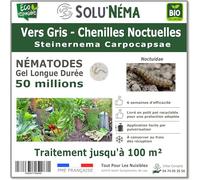 SOLUNEMA - Nématodes contre les vers gris - chenilles noctuelles - 50 Millions Longue Durée