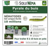 SOLUNEMA - Nématodes SC Contre la Chenille Pyrale du buis - 10 millions Steinernema Carpocapsae
