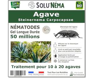 SOLUNEMA - Nématodes SC Contre le Charançon de l'Agave - Pour 10 à 20 Agaves - 50 millions Steinernema Carpocapsae