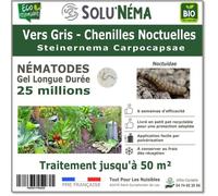 SOLUNEMA - Nématodes SC - Vers Gris - 25 millions Nématodes Steinenerma