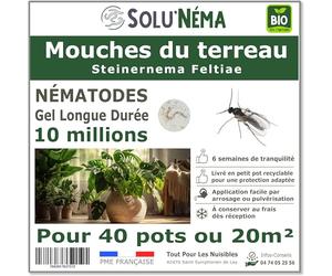 SOLUNEMA - Nématodes SF Contre Les Mouches du Terreau 10 millions - Formulation Gel Longue Durée pour traiter jusqu'à 40 pots ou 20 m² - Traitement biologique et efficace - efficacé redoutable