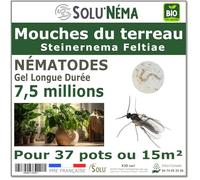 SOLUNEMA - Nématodes SF contre mouches du terreau 7,5 millions - Anti larves - Formule gel longue durée - Traitement biologique plantes d’intérieur - Jusqu’à 37 pots