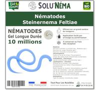 SOLUNEMA - Nématodes Steinernema Feltiae - 10 Millions