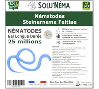 SOLUNEMA - Nématodes Steinernema Feltiae - 25 Millions