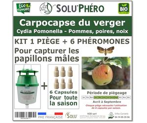 SOLU'PHÉRO - Kit 1 Piège Funnel + 6 Phéromones Contre Le carpocapse du verger (Pommier, Poirier, Noyer) - 1 Capsule 4 Semaines - Phéromone Écologique de Controle de Cydia Pomonella