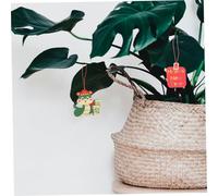 SOLUSTRE 18 Pièces Décorations an Chinois Serpent Ornements Suspendus pour Salon Plantes Vertes Charms Festifs